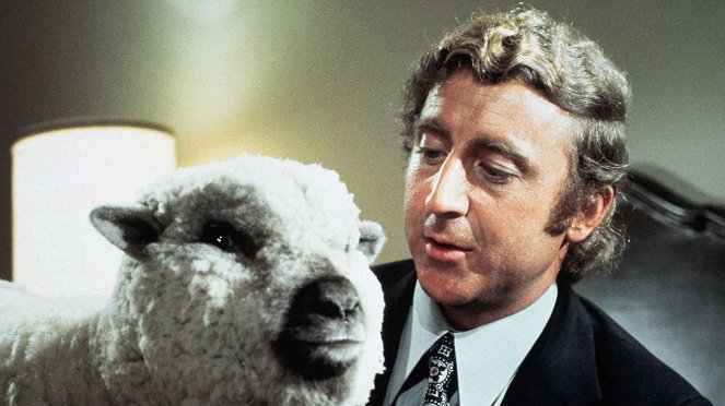 Everything You Always Wanted to Know About Sex * But Were Afraid to Ask - Van film - Gene Wilder