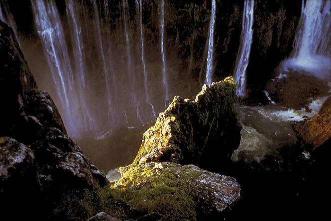 Wildes Afrika - Filmfotos