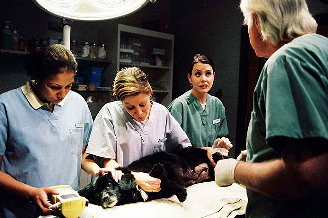 Animal Clinic - De la película