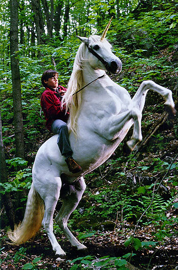 Nico the Unicorn - Kuvat elokuvasta - Kevin Zegers