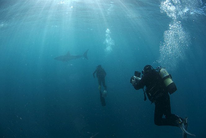 Of Sharks and Men - Do filme