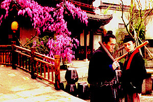 Chinese Odyssey 2002 - Film