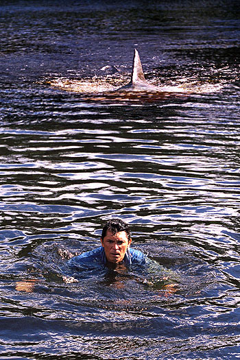 A cápa visszavág - Filmfotók - Lou Diamond Phillips