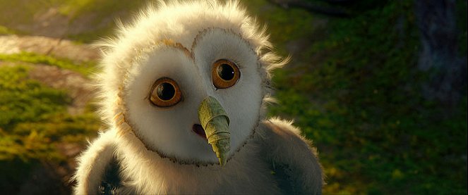 Legend of the Guardians: The Owls of Ga'Hoole - Van film