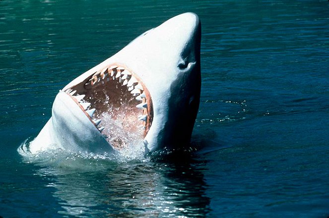 Shark Attack 2 : L'attaque des requins tueurs - Film