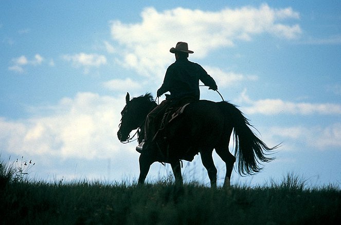 El hombre que susurraba a los caballos - De la película