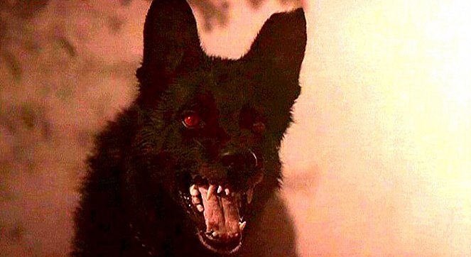A sátán kutyája - Filmfotók