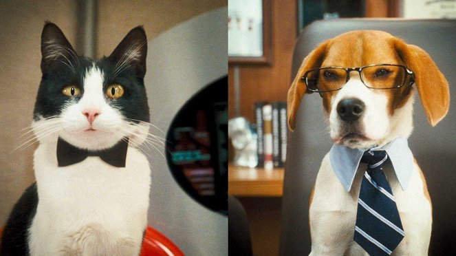 Como perros y gatos 2: La revancha de Kitty Galore - De la película