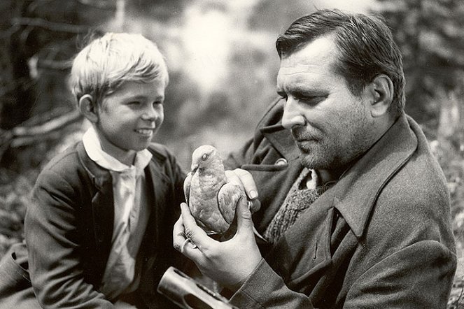 Le Chant du pigeon gris - Film - Pavol Poláček, Vlado Durdík st.