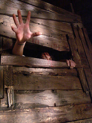 The Cellar Door - De la película