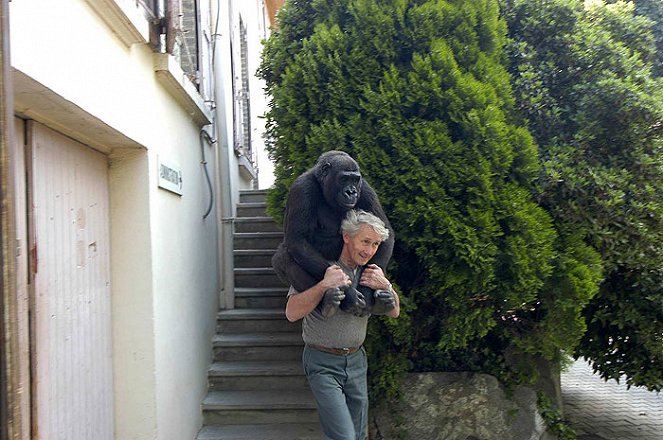 Un gorille dans la famille - De la película