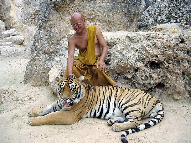 Der Tiger und der Mönch - Do filme