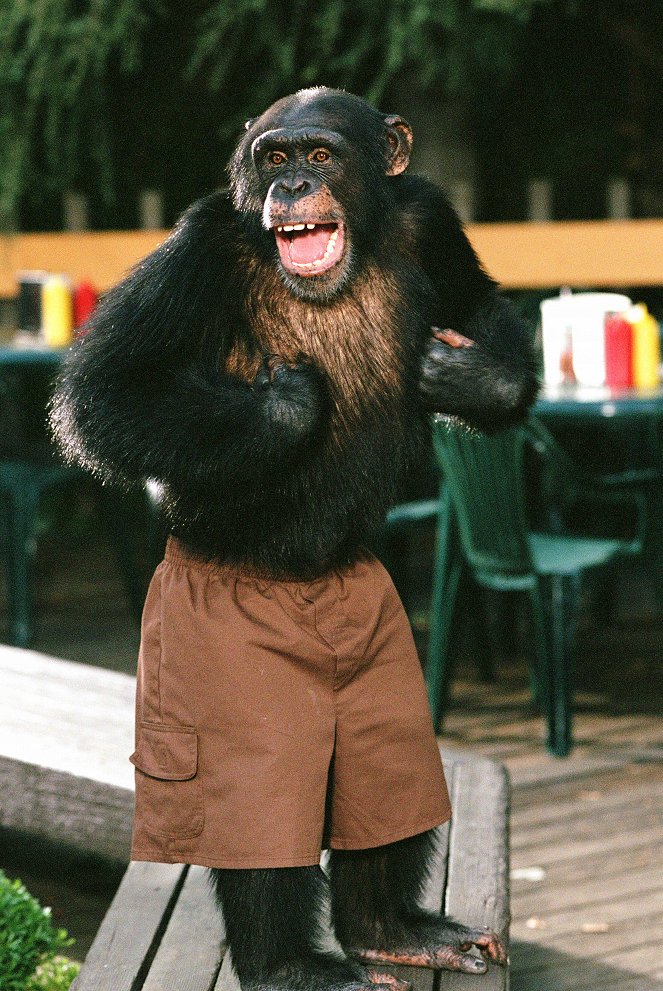 Funky Monkey - Ein Affe in geheimer Mission - Filmfotos