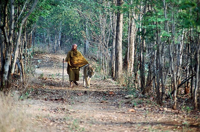 Der Tiger und der Mönch - Filmfotók