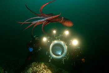 Deep Sea - Kuvat elokuvasta