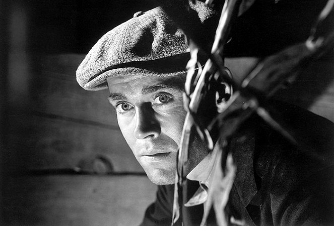 Früchte des Zorns - Filmfotos - Henry Fonda