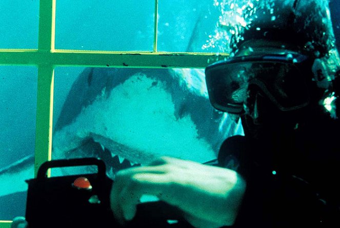 Shark Attack : Baignade interdite - Film