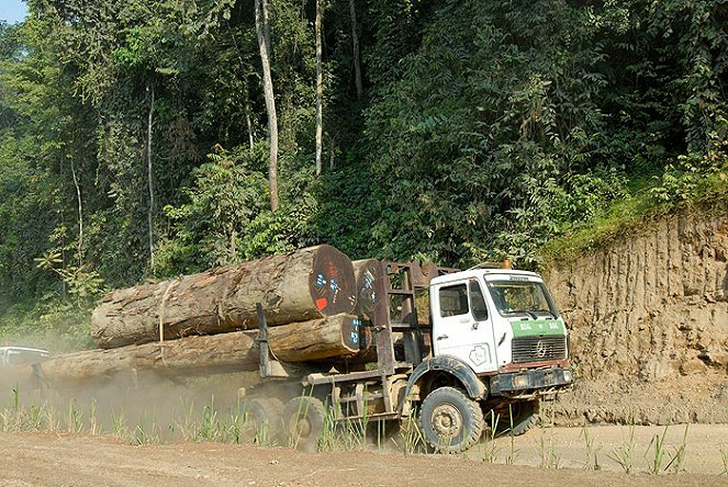 Gabon: Vítězství divočiny - Z filmu