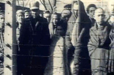 Auschwitz: The Forgotten Evidence - Do filme