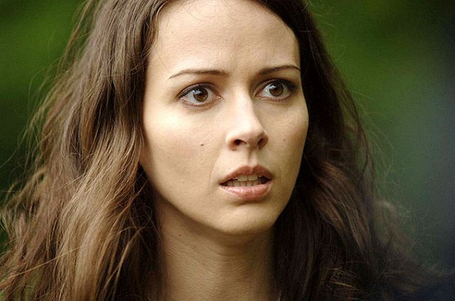 Amy Acker