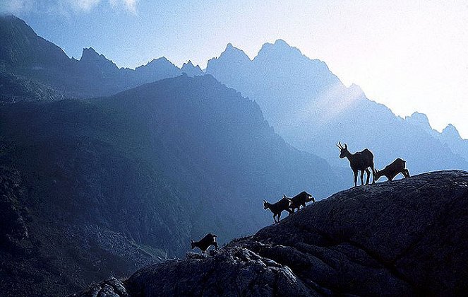 Universum: Zauberberge - Die Wildnis der Hohen Tatra - Kuvat elokuvasta
