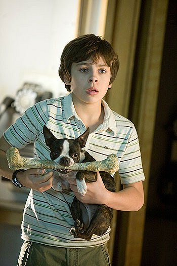 Hotel for Dogs - Photos - Jake T. Austin