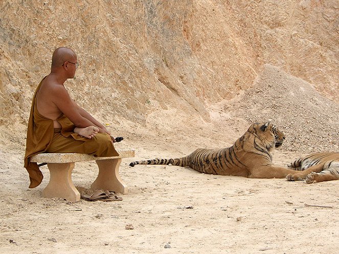Der Tiger und der Mönch - Filmfotos