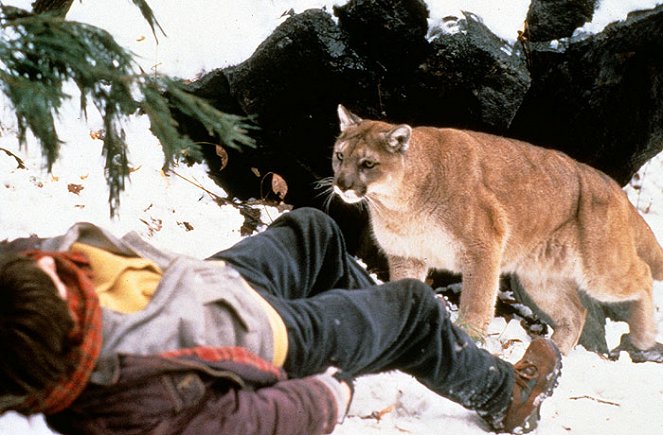 Kaňon divokých koček - Z filmu