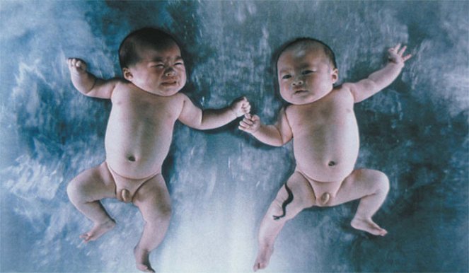Gemini - Tödlicher Zwilling - Filmfotos