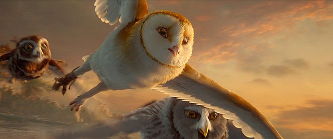Legend of the Guardians: The Owls of Ga'Hoole - Photos