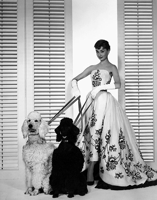 Sabrina - Promóció fotók - Audrey Hepburn
