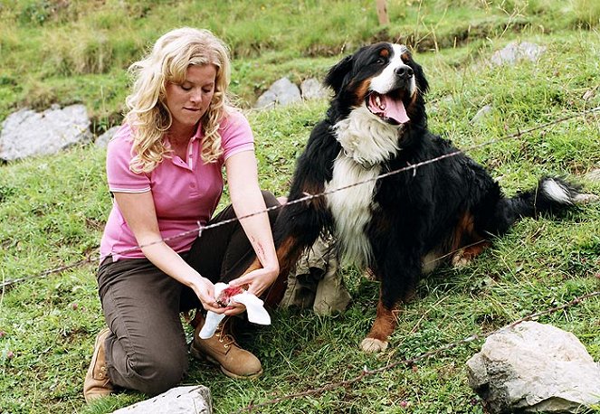 Utta Danella - Tanz auf dem Regenbogen - Do filme - Eva Habermann