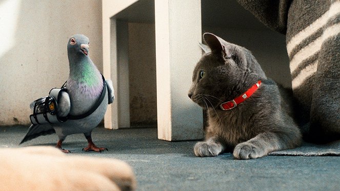 Kutyák és macskák - A rusnya macska bosszúja - Filmfotók