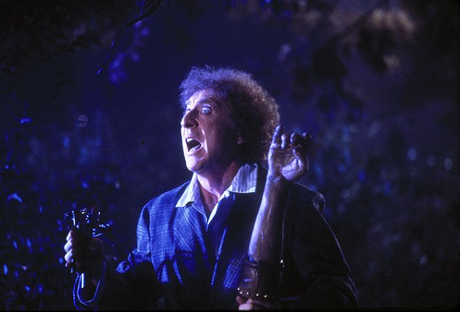 Nászéjszaka kisértetekkel - Filmfotók - Gene Wilder