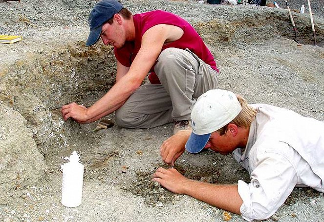 Dinosaurier Live 3D - Fossilien zum Leben erweckt - Filmfotos