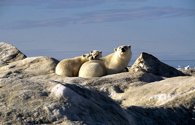 Los reyes del Ártico - De la película