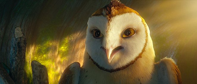 Legend of the Guardians: The Owls of Ga'Hoole - Photos