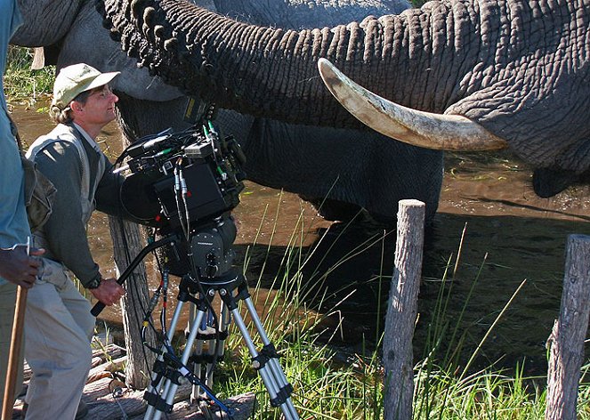 African Adventure: Safari in the Okavango - De la película