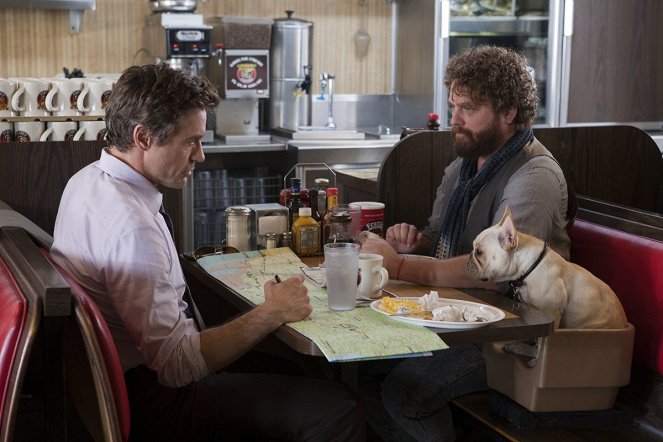 Stichtag - Filmfotos - Robert Downey Jr., Zach Galifianakis