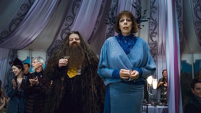 Harry Potter and the Deathly Hallows: Part 1 - Photos - Robbie Coltrane, Frances de la Tour