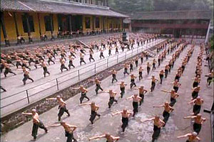 American Shaolin - Z filmu