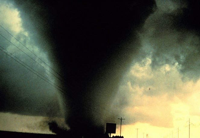 The Last Disaster : Dans l'oeil du cyclone - Film