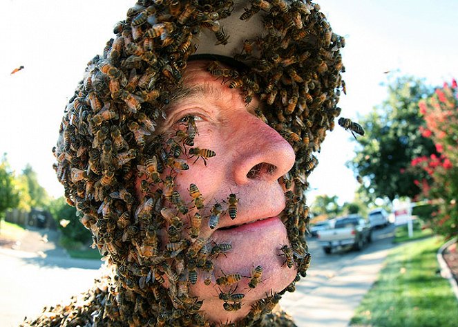 Swarm: Nature's Incredible Invasions - Photos