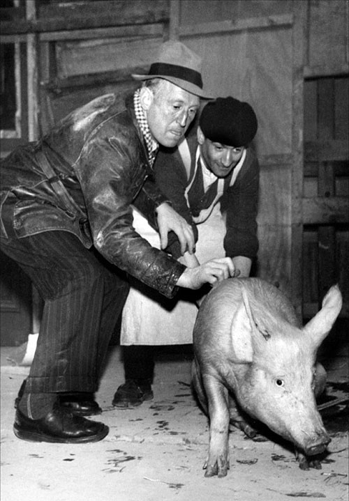 Zwei Mann, ein Schwein und die Nacht von Paris - Filmfotos - Bourvil, Louis de Funès