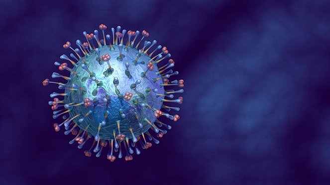 H1N1 : Our Viruses Have a Future - Film