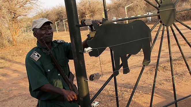 Návrat nosorožců do Mkomazi - Z filmu