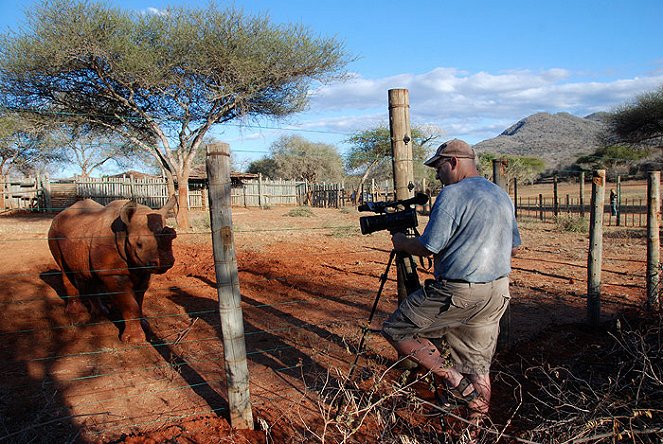 Návrat nosorožců do Mkomazi - Do filme