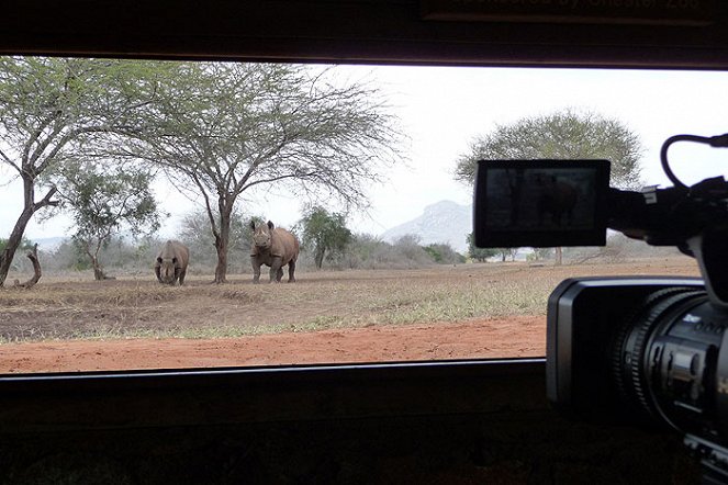 Návrat nosorožců do Mkomazi - Van film