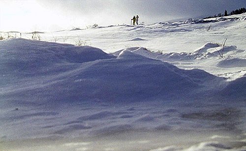 This Is Alaska - De la película