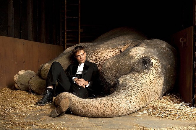 Agua para elefantes - De la película - Robert Pattinson